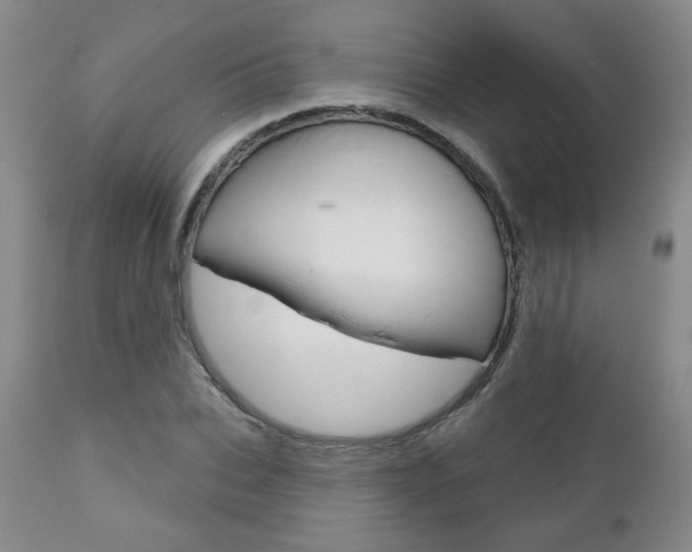 X0000111180927200907011029
