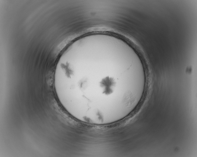 X0000111180929200907011029