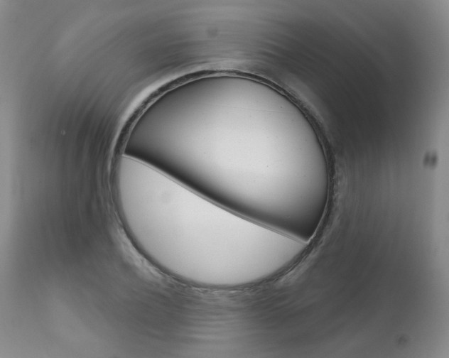 X0000111180932200907011029