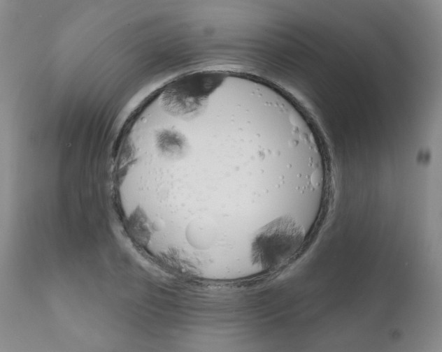 X0000111180933200907011029