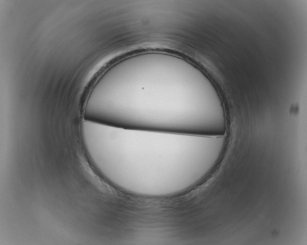 X0000111180934200907011029
