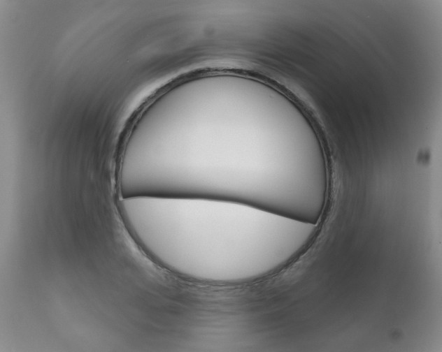 X0000111180935200907011029