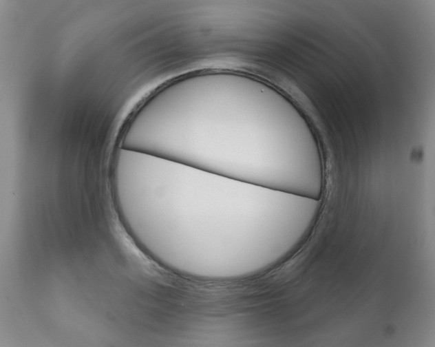 X0000111180939200907011029