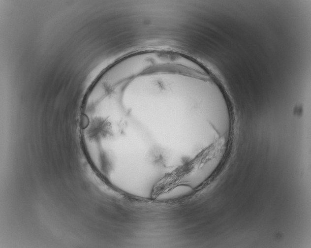 X0000111180941200907011029