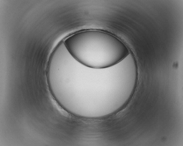 X0000111180942200907011029