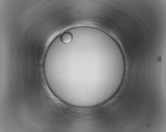 X0000111180944200907011029