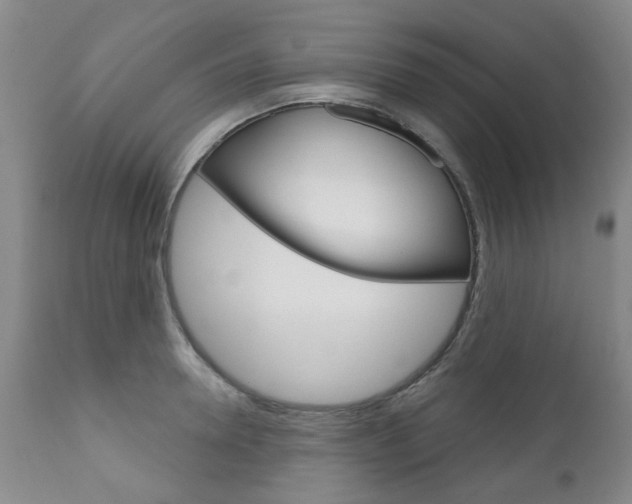 X0000111180946200907011029