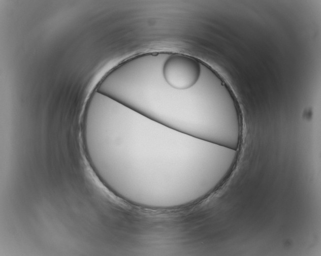 X0000111180949200907011029