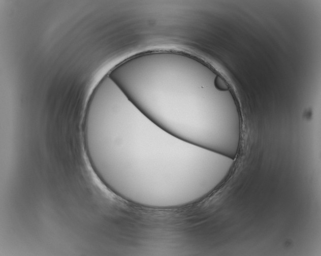 X0000111180951200907011029