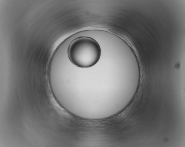 X0000111180952200907011029