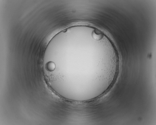 X0000111180953200907011029