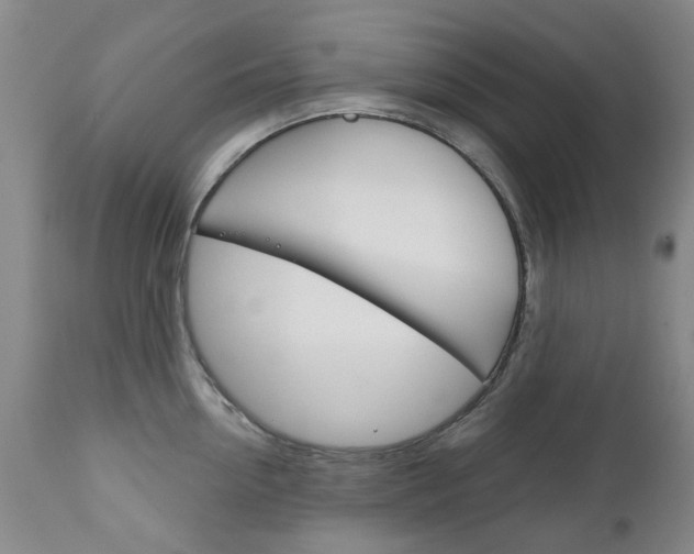X0000111180954200907011029