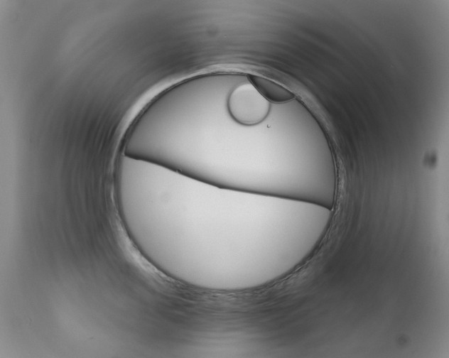 X0000111180955200907011029