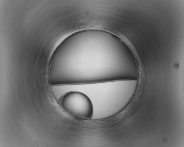 X0000111180956200907011029