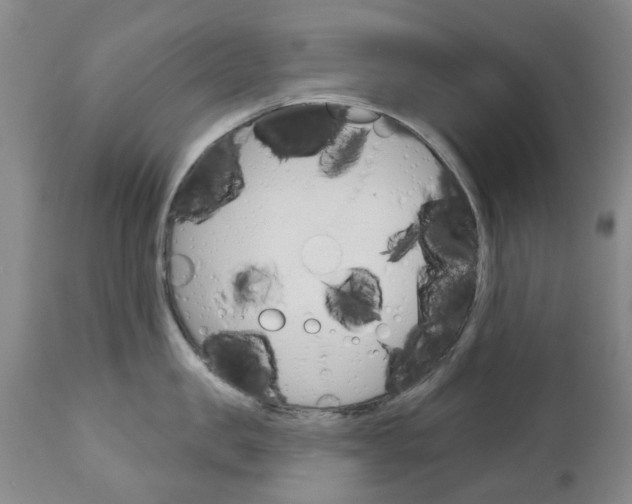 X0000111180957200907011029