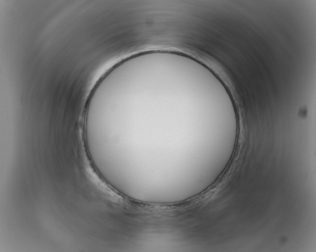 X0000111180958200907011029