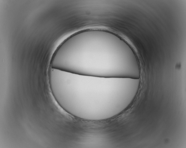 X0000111180959200907011029