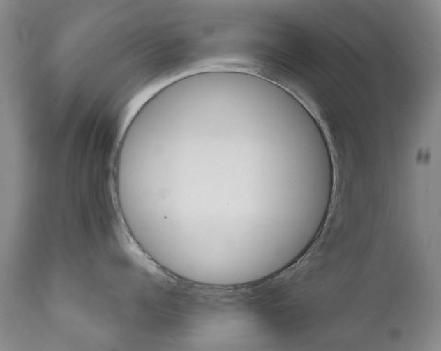 X0000111180960200907011029