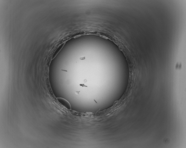X0000111180961200907011028