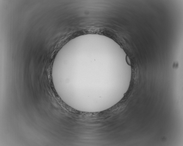 X0000111180962200907011028