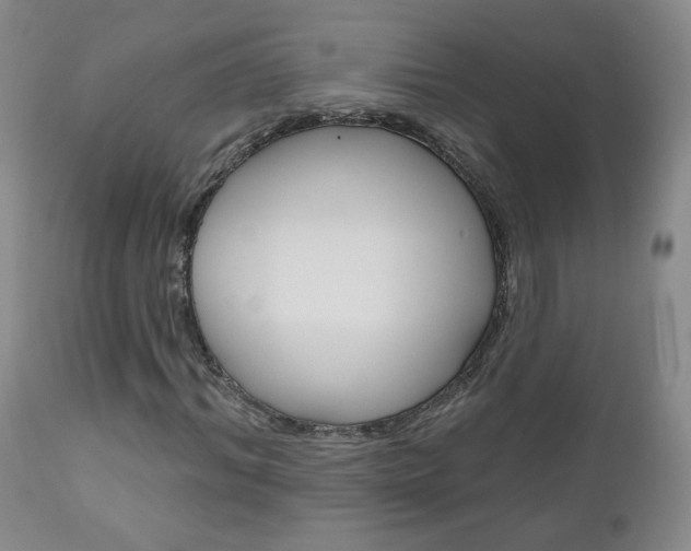 X0000111180964200907011028