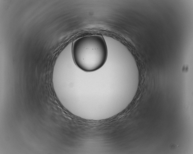 X0000111180965200907011028