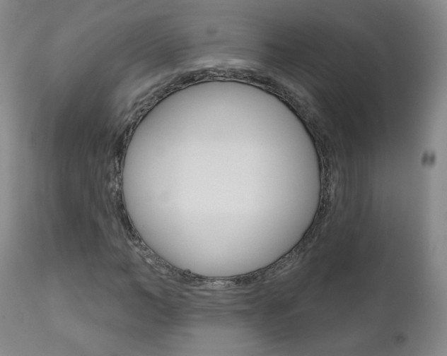 X0000111180966200907011028