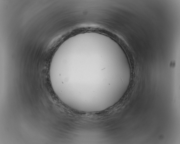 X0000111180967200907011028