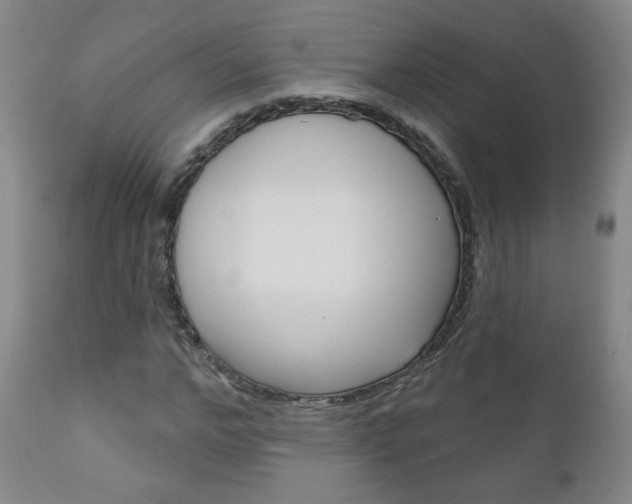 X0000111180968200907011028
