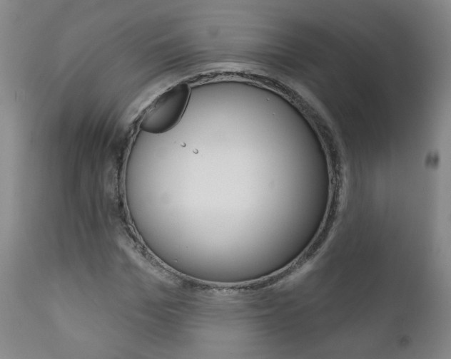X0000111180969200907011028