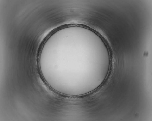 X0000111180972200907011028