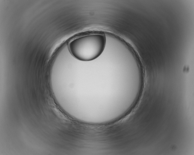X0000111180973200907011028