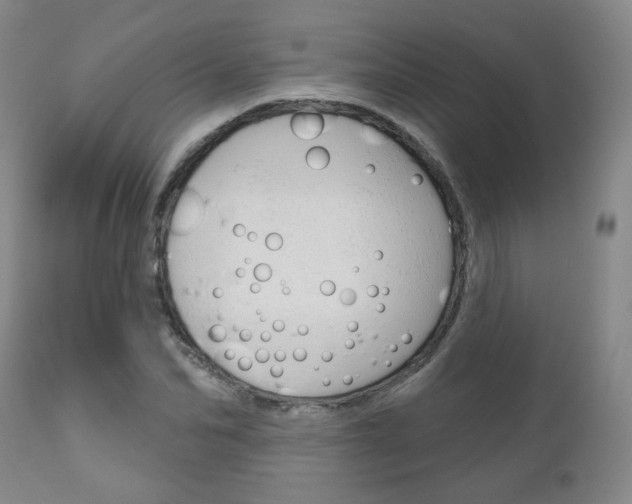 X0000111180974200907011028