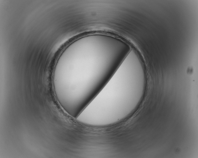 X0000111180975200907011028