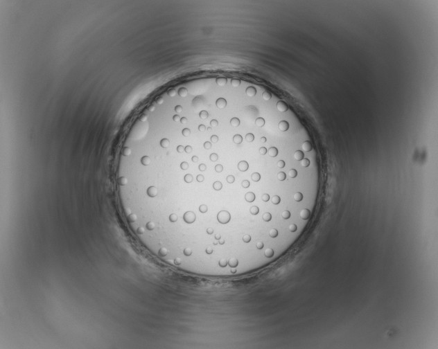 X0000111180978200907011028