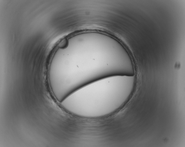 X0000111180979200907011028
