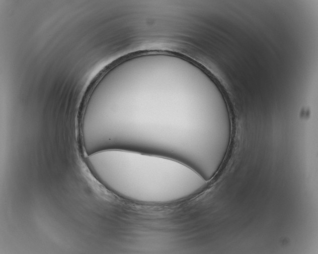 X0000111180980200907011028