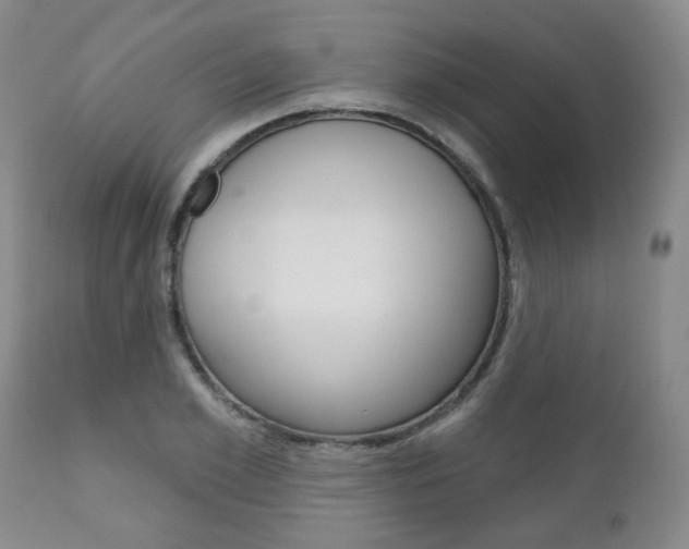 X0000111180981200907011028