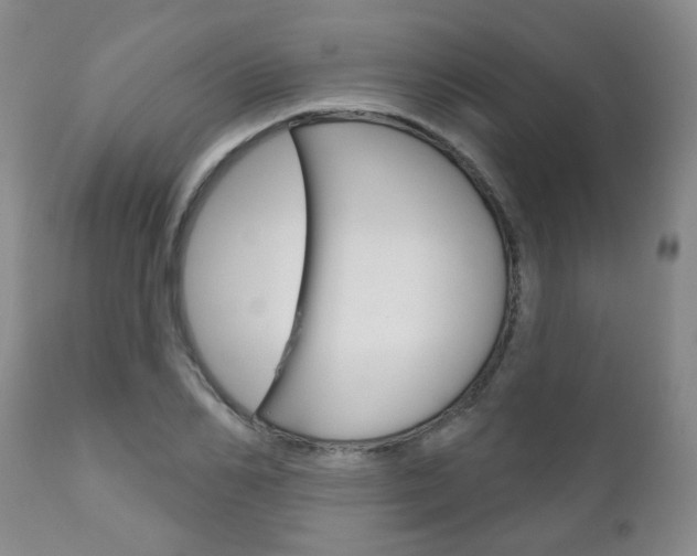 X0000111180982200907011028