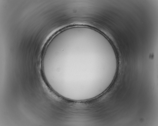 X0000111180984200907011028