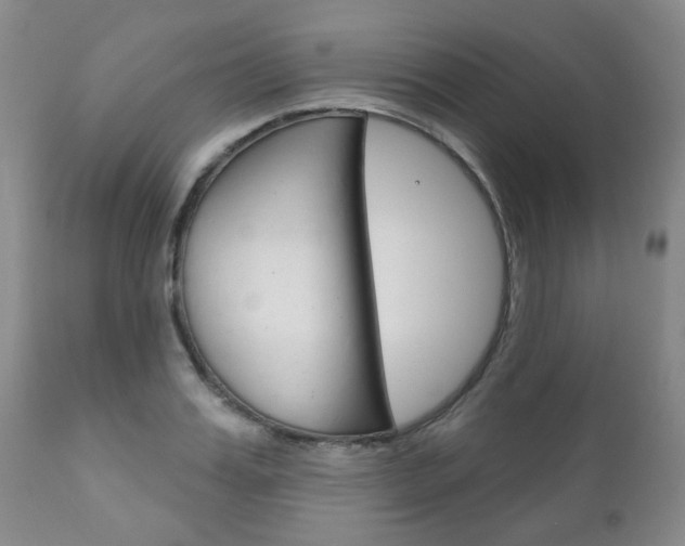 X0000111180987200907011028