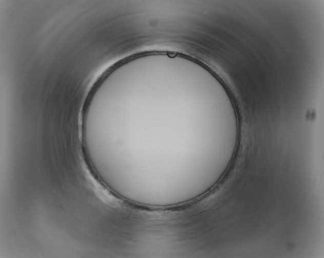 X0000111180988200907011028