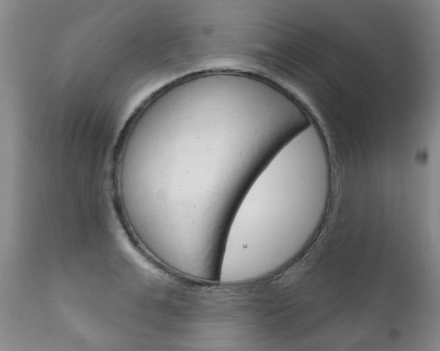 X0000111180991200907011028