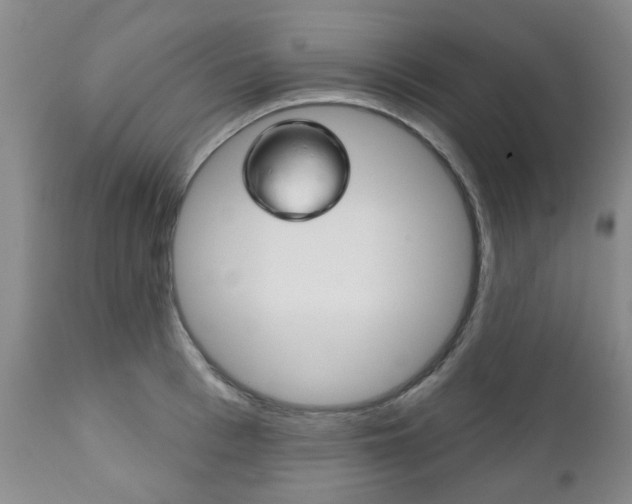 X0000111180993200907011028