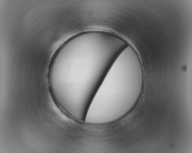 X0000111180995200907011028