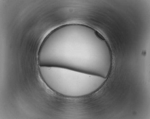 X0000111180996200907011028