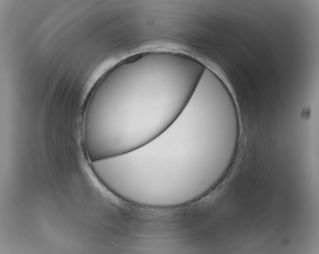 X0000111180997200907011028