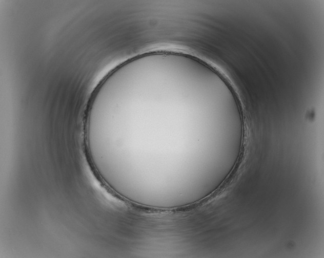 X0000111180999200907011028