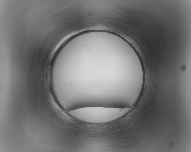 X0000111181000200907011028