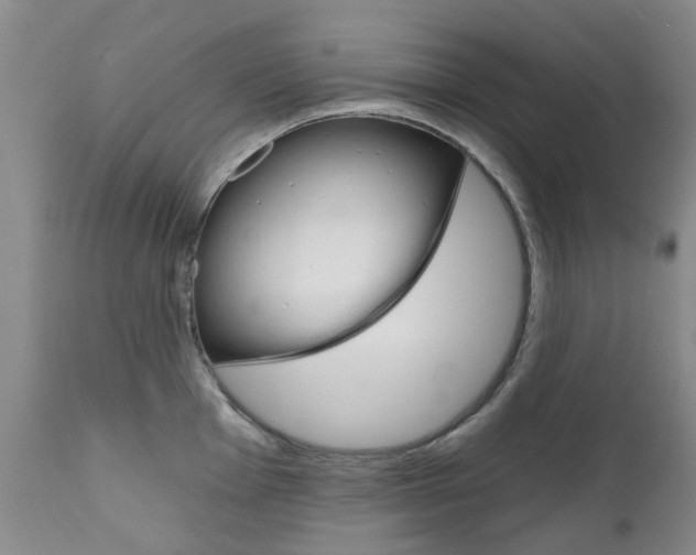 X0000111181001200907011028